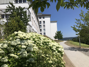 Aussenbild_2.jpg Aussenbild_2.jpg